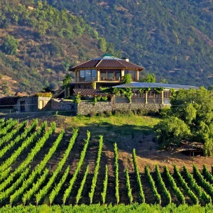 Valle de Colchagua